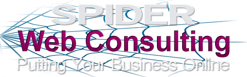 Spider website design | logo
